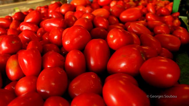 Epice Larénion,les tomates