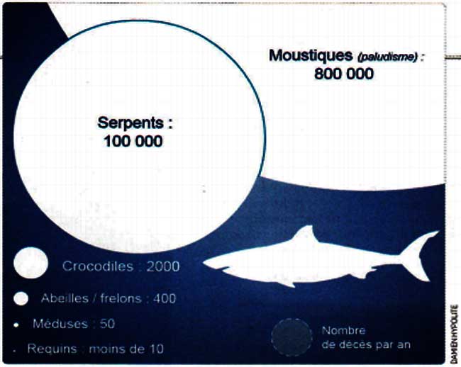 Infographie