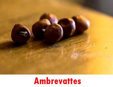 Ambrevattes