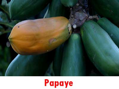 papaye