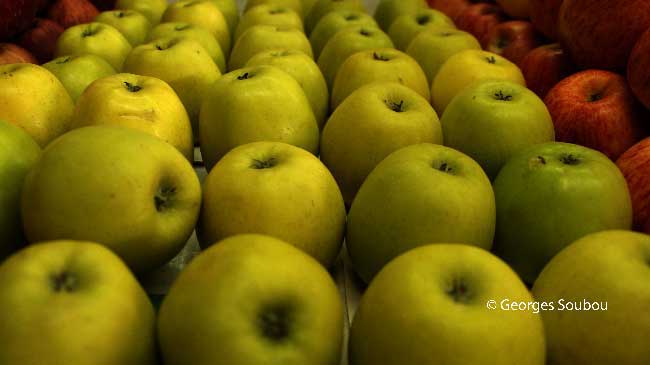 pommes vertes.